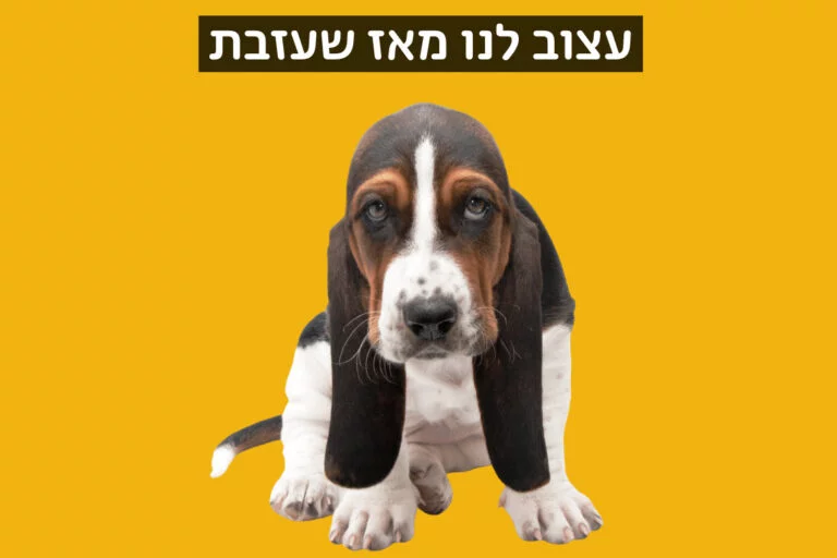 הסרה מרשימת התפוצה