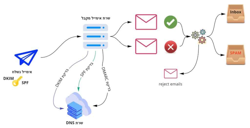 DNS 1