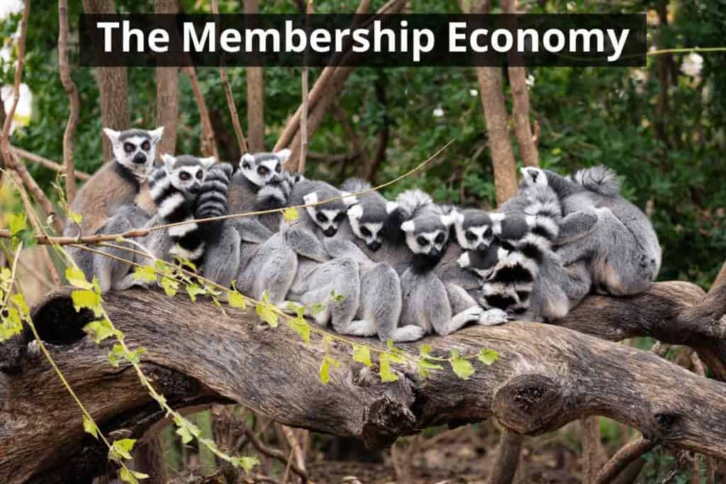 WP The Membership Economy