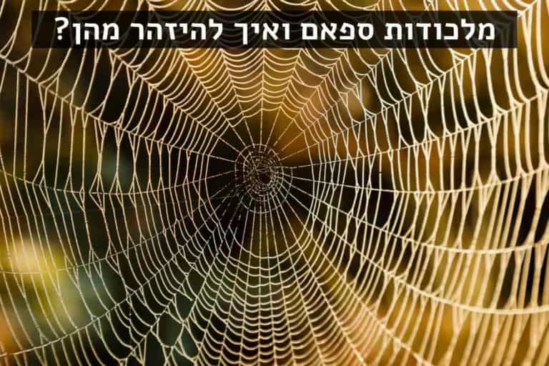 מלכודות ספאם